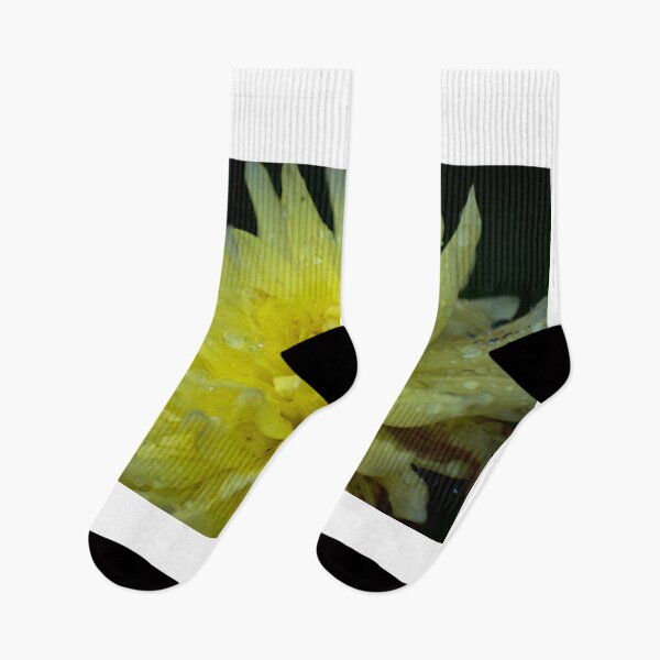 Item preview, Morning Rain designed and sold by Danny Key.