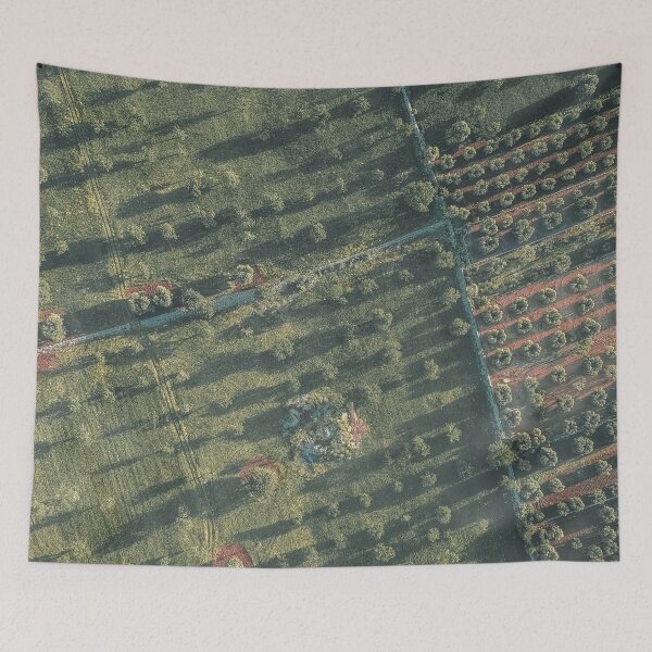 Item preview, Aerial photography, italian landscape, drone photo, olive trees, Puglia, Apulia designed and sold by Spallutos.