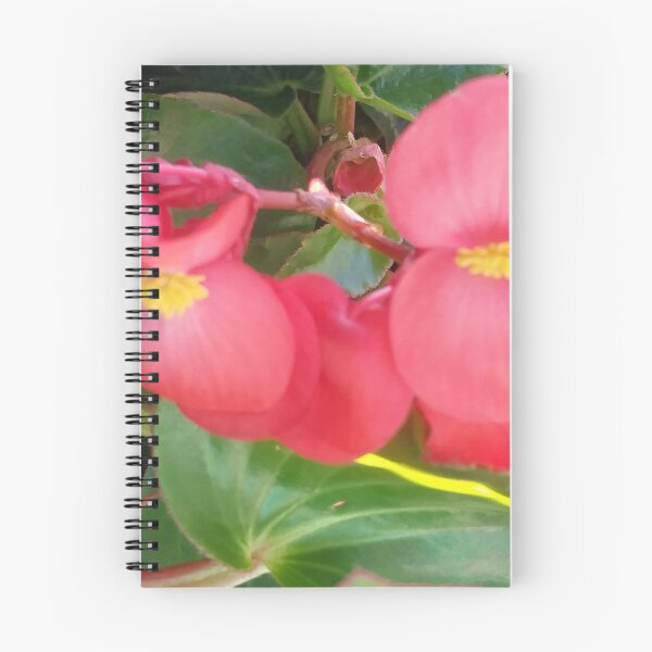 Item preview, Lovely designed and sold by Yolitha Lanay Carter.