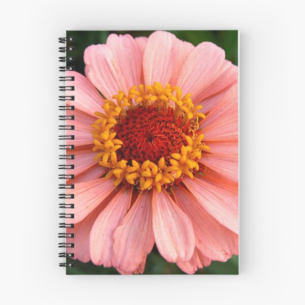 Item preview, Just Peachy designed and sold by Carla Jensen.