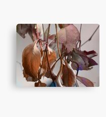 Crumpled Canvas Print