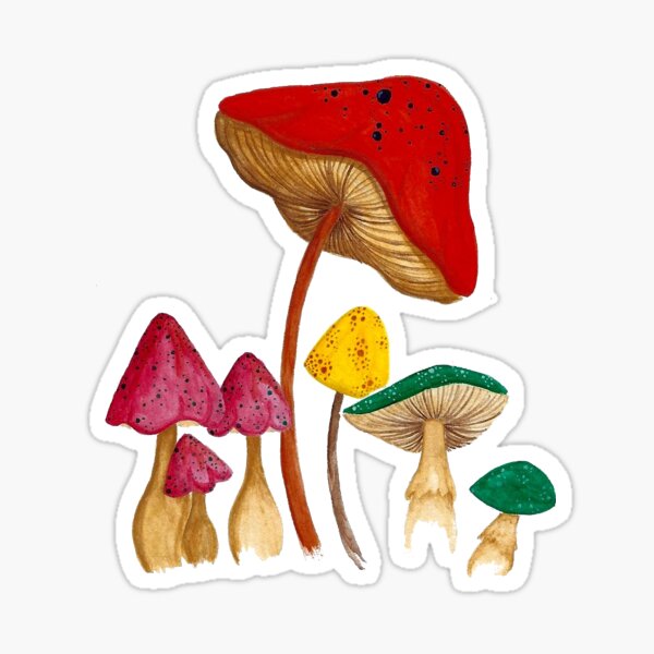 Forest Floor Sticker