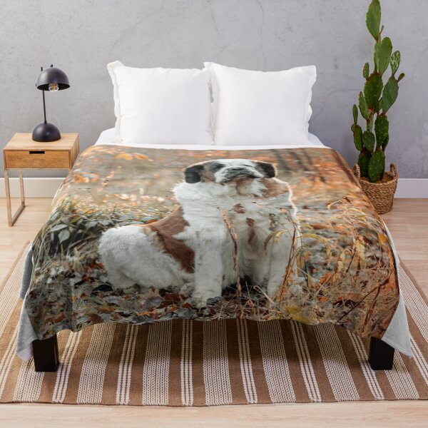 Item preview, Big St Bernard dog in Autumn  designed and sold by HaleyRedshaw.