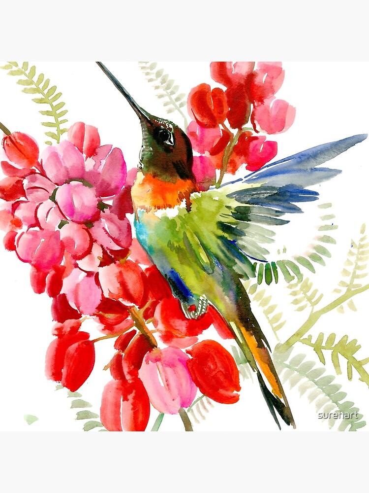 Collared Inca Hummingbrid and Pink Red Flowers by surenart