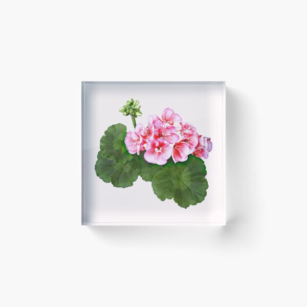 Item preview, Small  Pink Geranium designed and sold by Susan Savad.