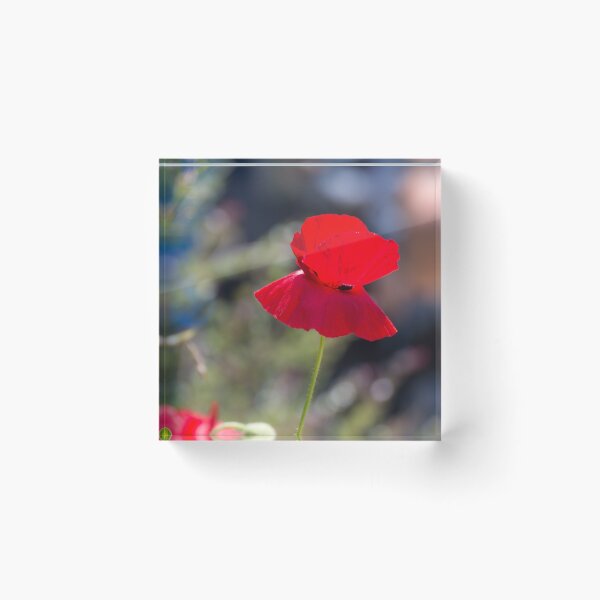 Artikelvorschau, Roter Mohn entworfen und verkauft von LizardSpirit.
