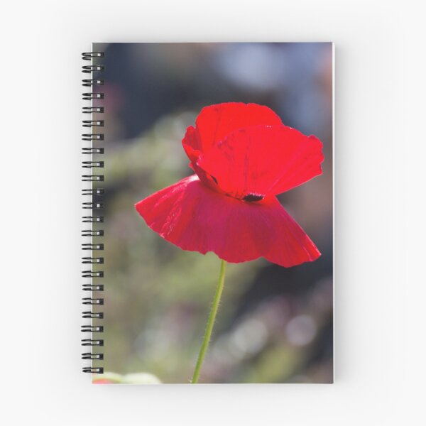 Artikelvorschau, Roter Mohn entworfen und verkauft von LizardSpirit.