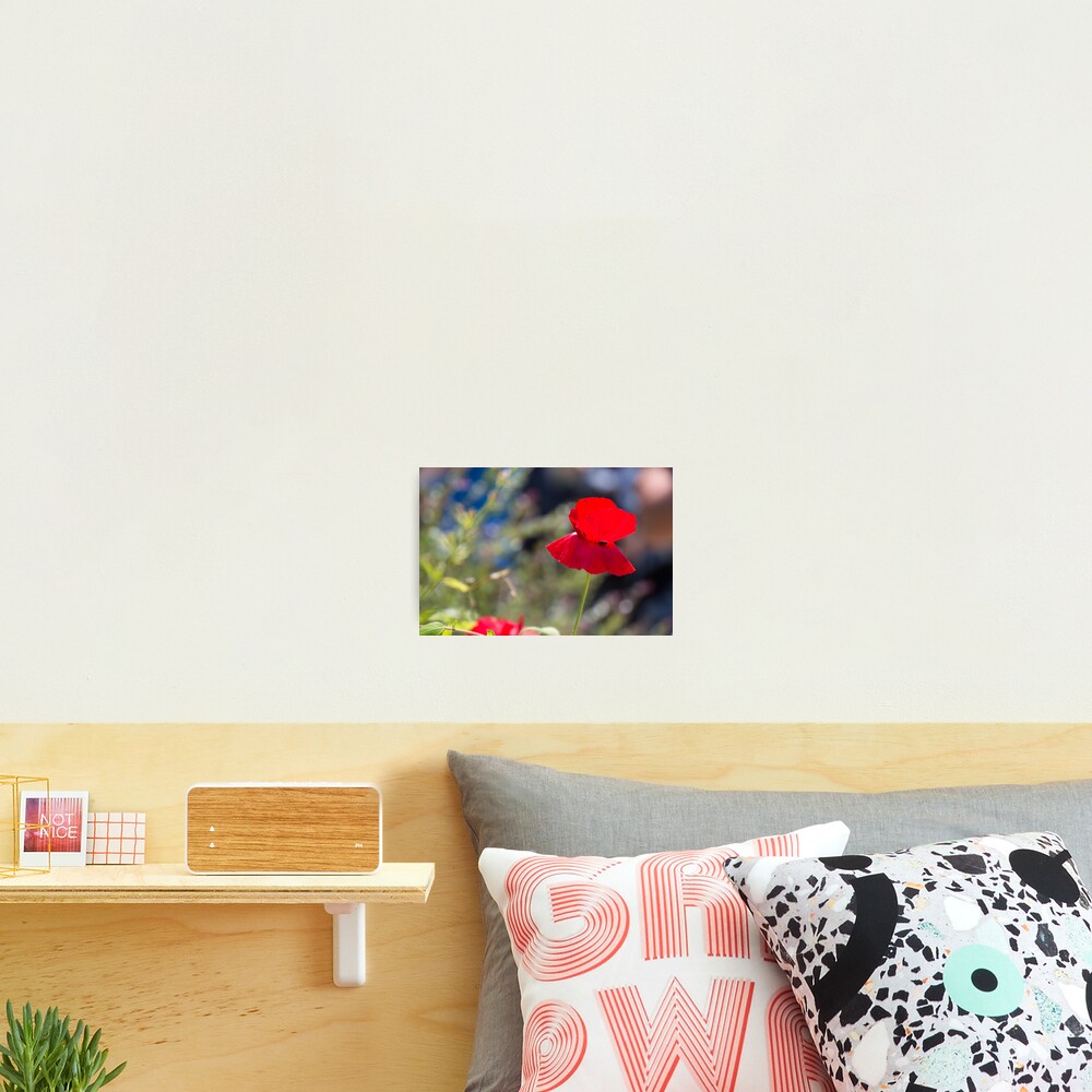 Item preview, Photographic Print designed and sold by LizardSpirit.