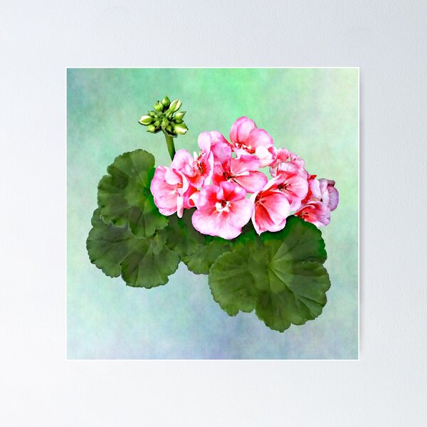 Item preview, Small  Pink Geranium designed and sold by Susan Savad.