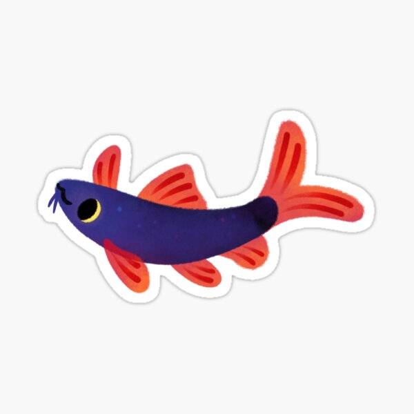 Item preview, Rainbow shark meets blue shark designed and sold by pikaole.