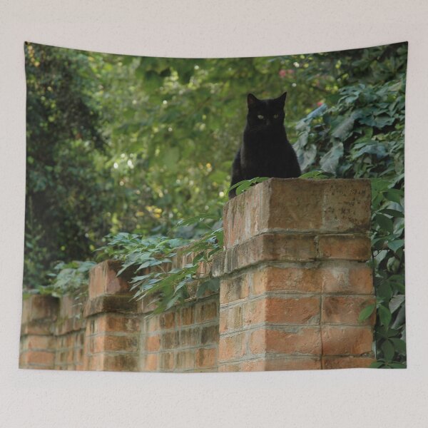 Item preview, Zorro on his wall designed and sold by Nerone.
