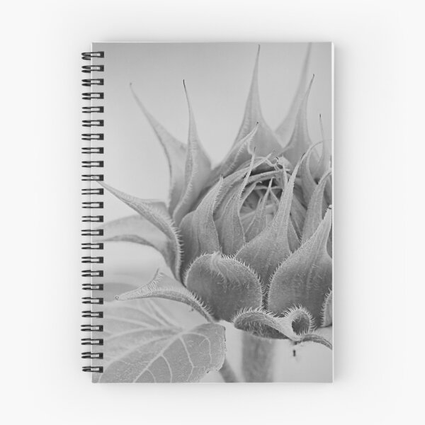 Item preview, Bashful designed and sold by Barry W  King.
