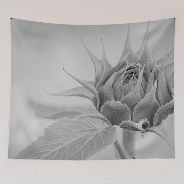 Item preview, Bashful designed and sold by Barry W  King.