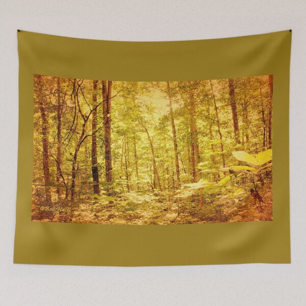 Item preview, "Enchantment," Photo, for prints and products designed and sold by Bob Hall©.