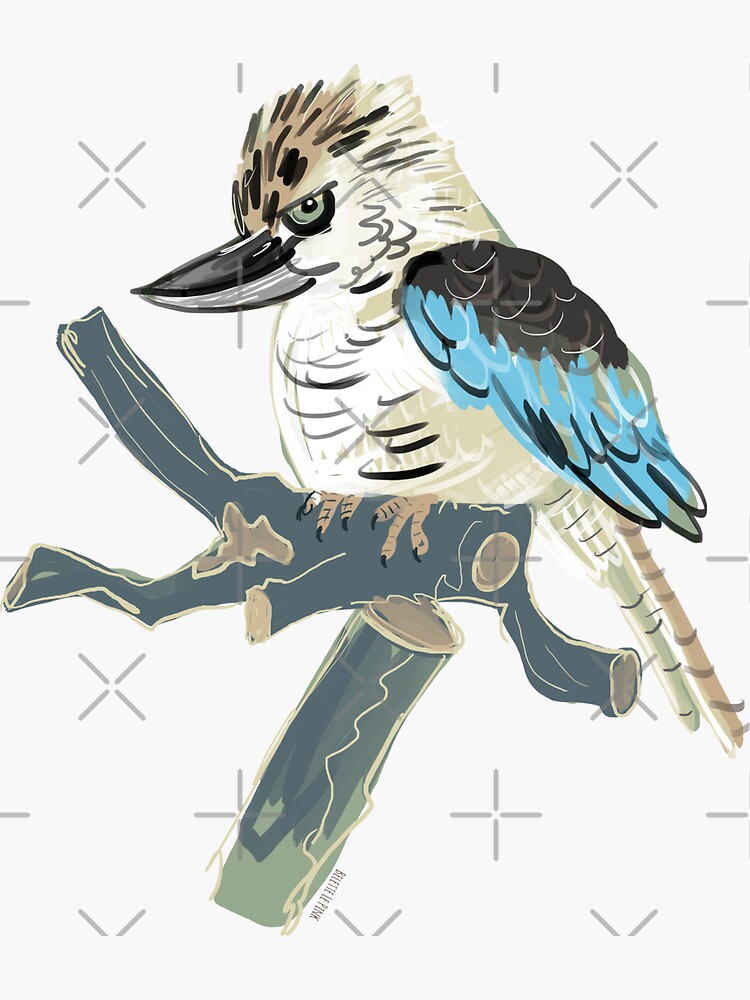 "Kookaburra 1" Sticker for Sale by belettelepink Redbubble