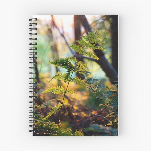 Item preview, sunset fern designed and sold by codaimages.