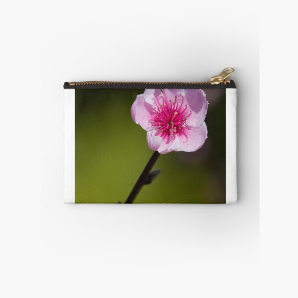 Item preview, Early Bloom designed and sold by David  Hibberd.