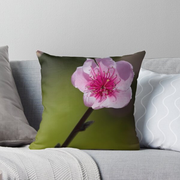 Item preview, Early Bloom designed and sold by David  Hibberd.