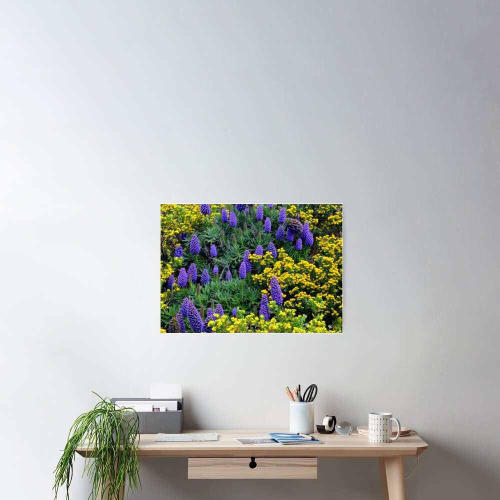 Item preview, Poster designed and sold by Asoka.