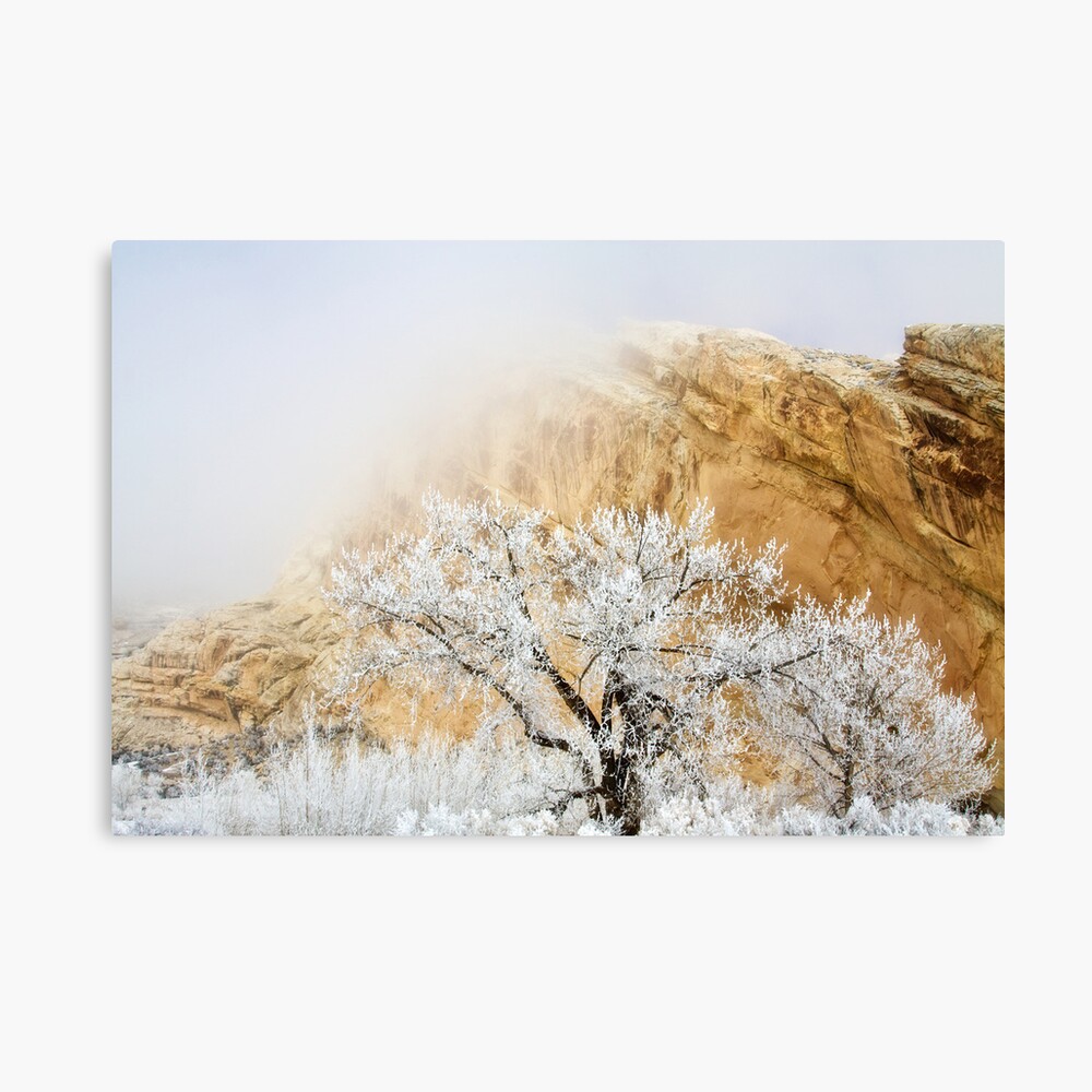 Magic Frost Canvas Print