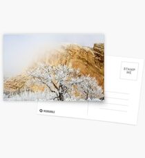Magic Frost Postcards