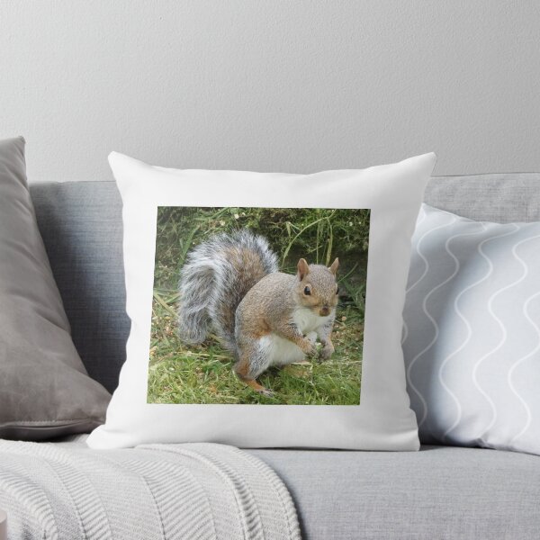 Item preview, Squirrel series  No 1    designed and sold by jamluc.