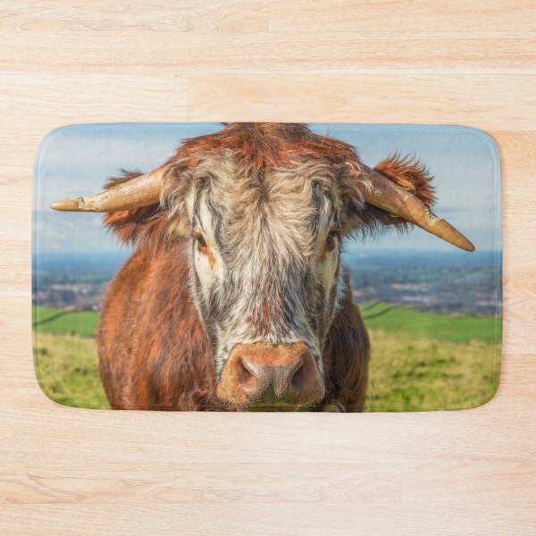 Item preview, Cow Face Portrait.  Longhorn Cow Bullock - prints greeting cards designed and sold by Chris Warham.