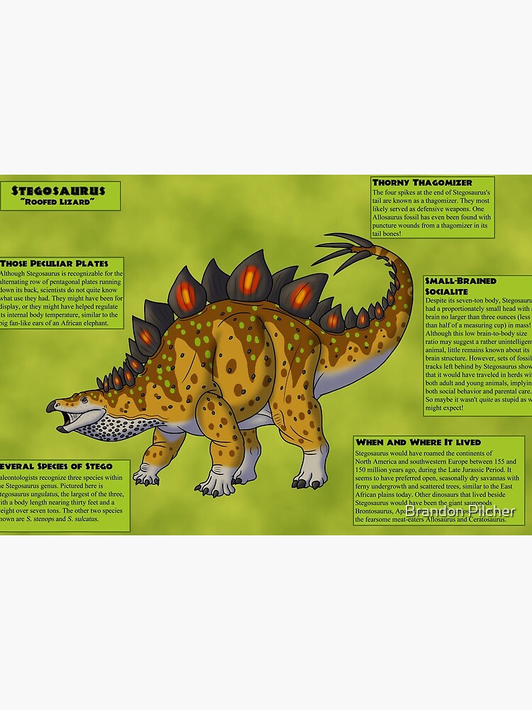 Stegosaurus Poster