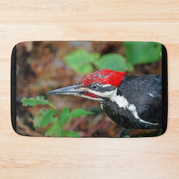 Item preview, Juvenile Male Pileated Woodpecker designed and sold by Debbie Oppermann.