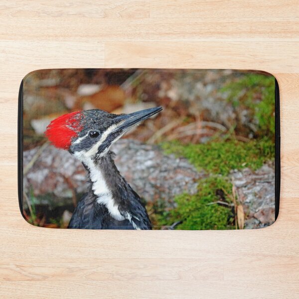 Item preview, Juvenile Female Pileated Woodpecker designed and sold by Debbie Oppermann.