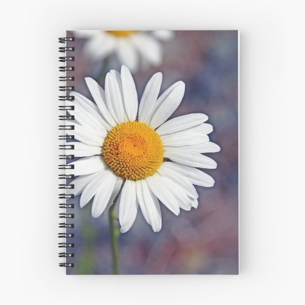 Item preview, Oxeye Daisy designed and sold by Debbie Oppermann.