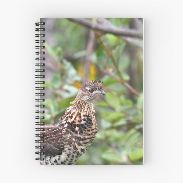 Item preview, Ruffed Grouse designed and sold by Enola Gay Wagner.