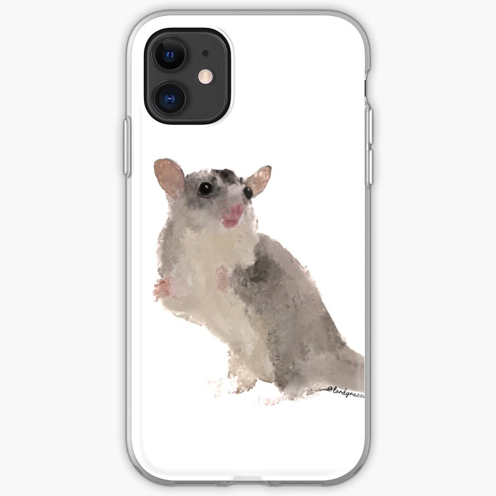 standard sugar glider