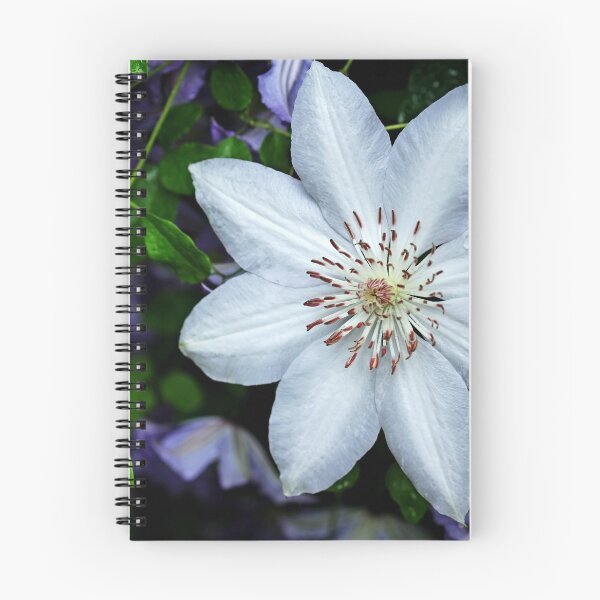 Item preview, White Clematis Surrounded By Purple Clematis designed and sold by Debbie Oppermann.