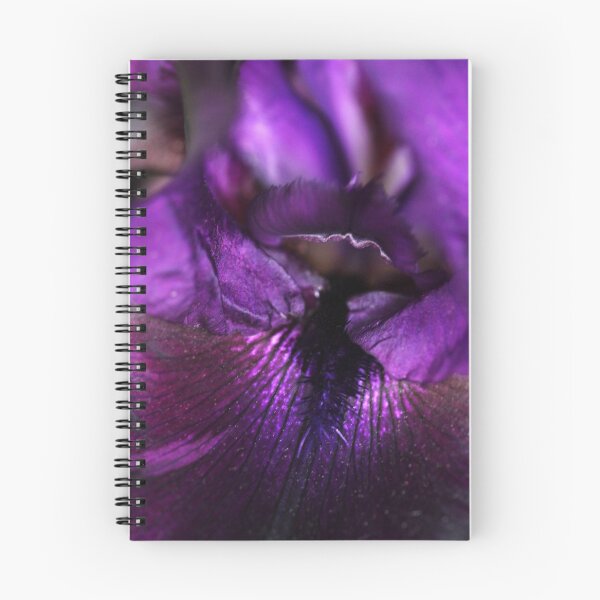 Aperçu de l'œuvre Velours violet créée et vendue par Debbie Oppermann.