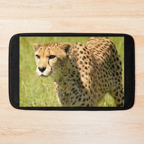 Item preview, Cheetah designed and sold by Debbie Oppermann.