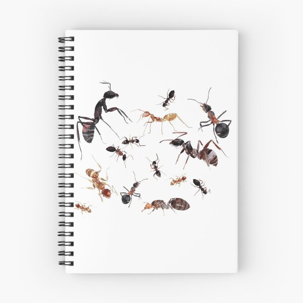 Item preview, A Medley of Ants designed and sold by AuntieBetty.