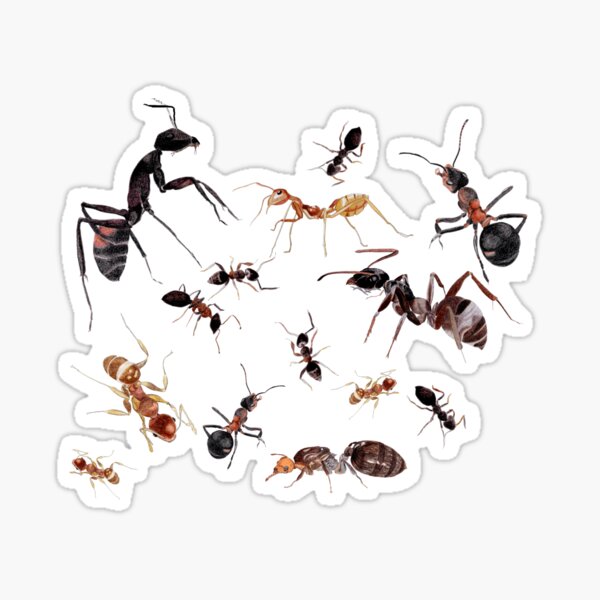 Item preview, A Medley of Ants designed and sold by AuntieBetty.