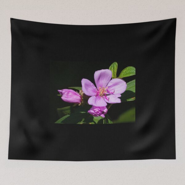 Item preview, Native Lassiandra (Melastoma malabathricum) Flowers. designed and sold by Connie Pinson.