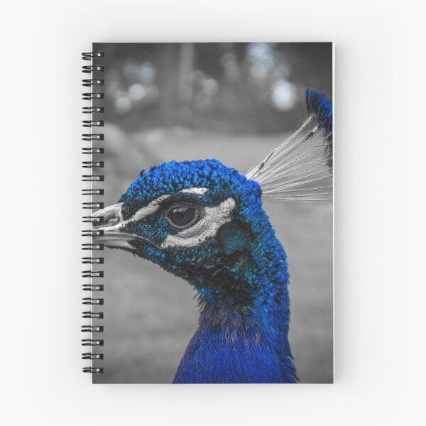 Item preview, Royal Blue designed and sold by WillBov.