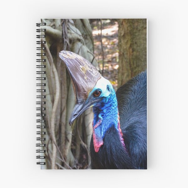 Item preview, Southern Cassowary (Casuarius casuarius) close up designed and sold by Connie Pinson.