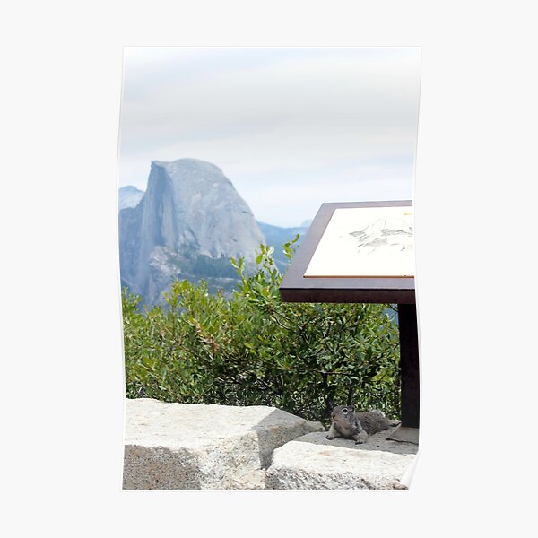 Chillin by Half Dome Poster