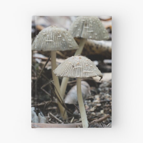 Item preview, Coprinus/ Coprinellus Fungi designed and sold by Connie Pinson.