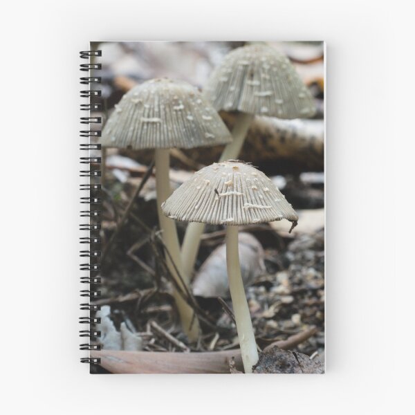 Item preview, Coprinus/ Coprinellus Fungi designed and sold by Connie Pinson.