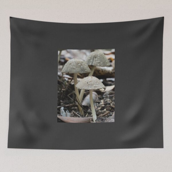 Item preview, Coprinus/ Coprinellus Fungi designed and sold by Connie Pinson.