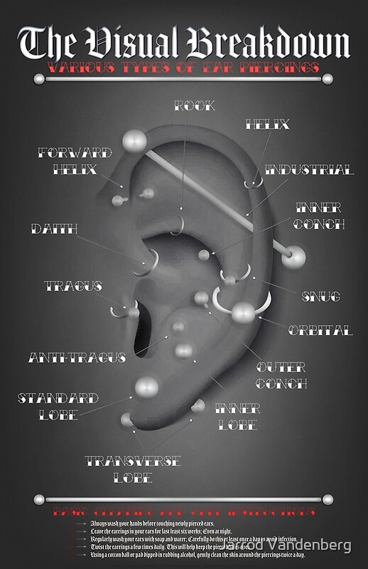 Ear Piercing Infographic Chart By Jarrod Vandenberg Redbubble 