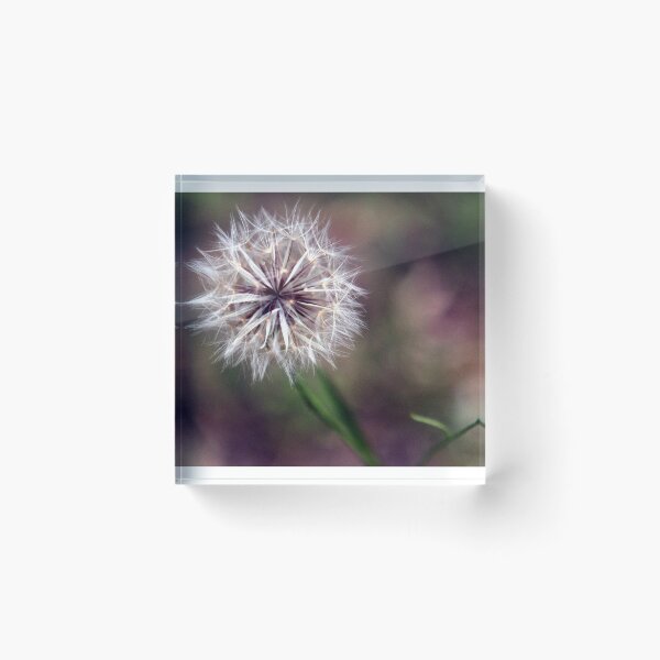 Item preview, Dandy designed and sold by Elisabeth Dubois.