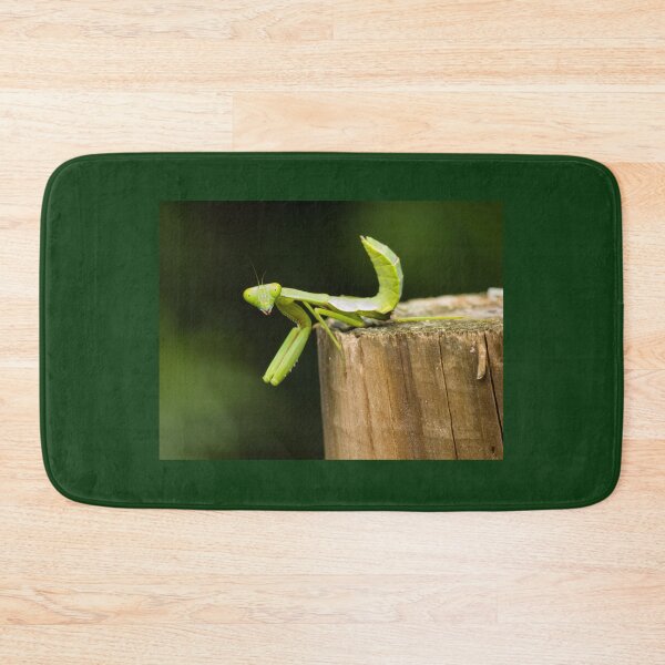 Item preview, Giant Rainforest Mantid (Hierodula majuscula) nymph on fence post. designed and sold by Connie Pinson.