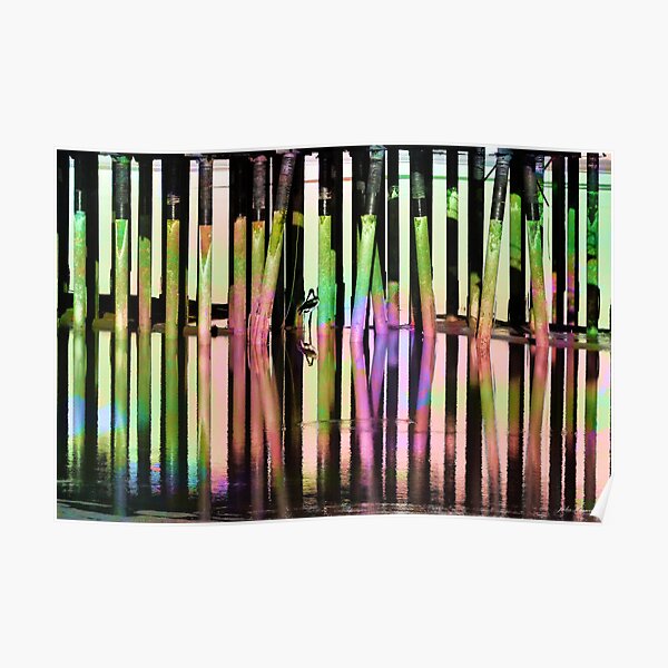 Reflections Poster