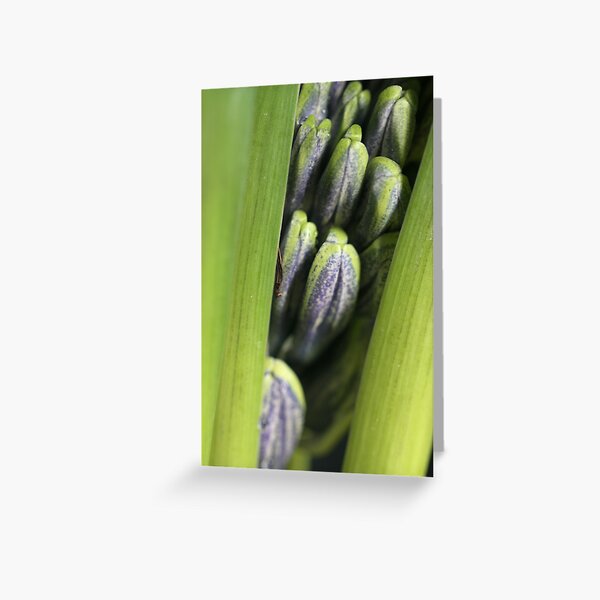 blooming power Greeting Card